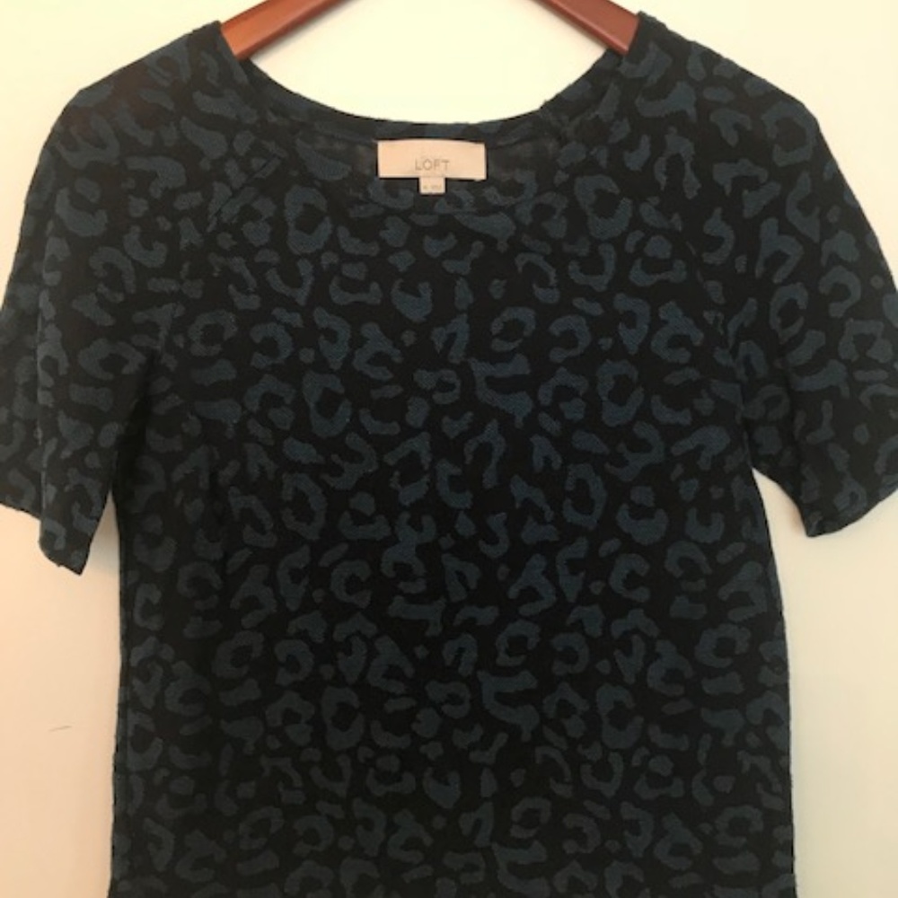 LOFT, Dark and Light Blue Top, XS